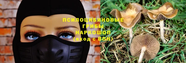 PSILOCYBIN Нягань